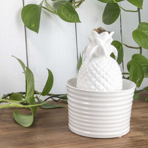 Bay Isle Home Lowenthal Ceramic Pineapple Fountain & Reviews Wayfair